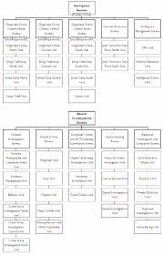 figure 2 from state police investigative structure and the