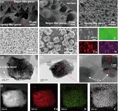 Here we have tons of wonderful shopkins characters! Hierarchical Porous Carbon Membrane Embedded With Pyrolyzed Co Based Metal Organic Frameworks As Multifunctional Interlayers For Advanced Li Ses2 Batteries Wang Energy Technology Wiley Online Library