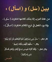Pin By Fati N On اللغة العربية Learning Arabic Learn Arabic Language Arabic Language