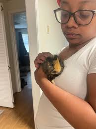 Rascal yelling at me when I come back up stairs. after being downstairs for  5 whole minutes 🤣 I just love them so much I hope y'all don't mind me  always posting