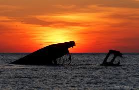 Image result for Omaha Orange 2019 Fleet