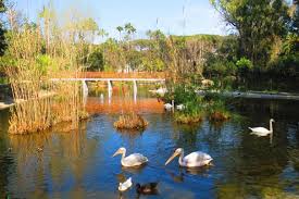 Free for under 3 and over 70. La Fattoria Dello Zoo Di Napoli Napoli Da Vivere