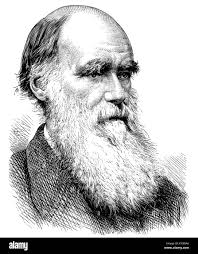 Charles darwin evolution Banque d'images noir et blanc