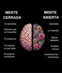 mentalidad de escasez vs mentalidad de abundancia explicada