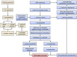 Image result for Exercise Induced Syncope