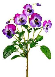 Purple And Violet Fake Pansy Flowers 15 Pansies Flowers Violet Flower Pansies