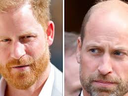 'Real reason' behind Prince Harry's UK visit