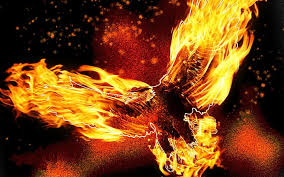 We do not encourage or condone the use of any wallpapers in violation of applicable laws. 1536x2048px Free Download Hd Wallpaper Fire Eagle Animals Digital Art Birds Wallpaper Flare