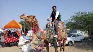 Basic safari safety rules include staying in the car, refraining from sticking anything out of the car, and keeping your windows rolled up. Experiencing A Camel Safari In Rajasthan