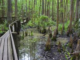 Check spelling or type a new query. Camping In Florida Florida Hikes