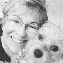 Pamela Ann Petrone Obituary