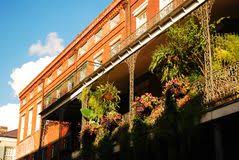 Existen muchas plantas colgantes de exterior que pueden decorar tu ventana o balcón, tienes muchas opciones entre plantas bajas, altas, frondosas, sin una duda esta seria una combinación. Plantas Colgantes En Un Balcon De New Orleans Imagen De Archivo Imagen De North Pics 133298885