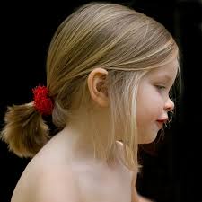 Gallery 1 — Pat Paul Photography