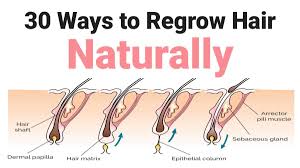 Your body is constantly making new hair, so most people do not notice the shedding and renewal. getty images extremes and stress can result in thinning of eyebrow hair as well, but it can also be. 30 Ways To Regrow Hair Naturally