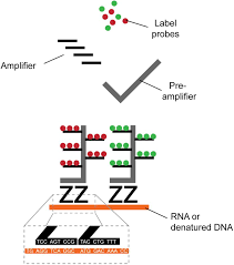 We found that paris.cl is a tremendously popular website with huge traffic (approximately over. Frontiers Single Cell Technologies Applied To Hiv 1 Research Reaching Maturity Microbiology