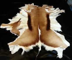 Stunning Medium Large Springbok Rug Throw Skin Pelt Hide Hide Rug Springbok Rugs