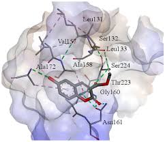 Image result for Sphenostylis marginata