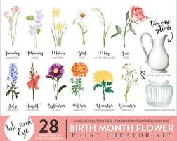 January birthstone and birth flowers. Birth Flower Clipart Etsy