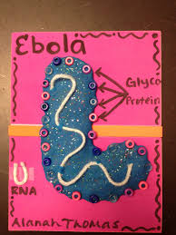 Pin By Carolyn Thomas Biology On My Biology Class Study Biology Science Projects Science Biology