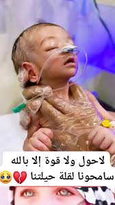 Haneen Mohammad Abdalhadi