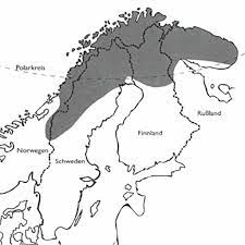 Everything you need to know about the scandinavian region. Die Sami Das Letzte Ursprungsvolk Im Wandel Der Zeit