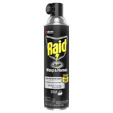 Raid Wasp Hornet Killer 33 17 5 Oz Walmart Com Walmart Com