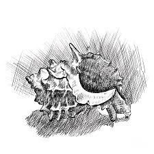 Are you looking for the best conch shell line drawing for your personal blogs, projects or designs, then clipartmag is the place just for you. Spiky Conch Shell A Pen And Ink Drawing Drawing By Adam Long