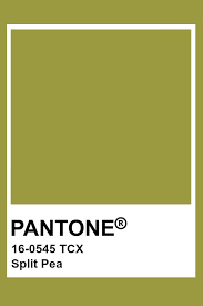 Pantone Split Pea Pantone Colour Palettes Pantone Color Pantone Palette