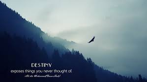 Islamic wallpaper night iphone quran hood allah قرآن stars arabic kutipan allah kutipan agama kata kata indah. Hd Wallpaper Ali Ibn Muhammad Hadi Imam Islam Quote Eagle Forest Clouds Mist Wallpaper Flare
