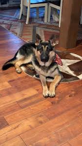 Hidden Creek Farm, LLC