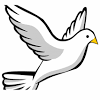 Gambar burung cililinformat png : Https Encrypted Tbn0 Gstatic Com Images Q Tbn And9gcsk0dcpiewlhs3hvgordgupnvn5wqfc6 4n4pn J7i7omuilta4 Usqp Cau