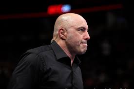 Joe rogan was born on august 11, 1967 in newark, new jersey, usa as joseph j. Hqvywpd41hdlim