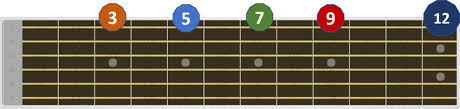 La numerazione delle corde resta sempre uguale, anche se l'accordatura cambia. Note Di Chitarra Posizione Delle Note Musicali Sulla Tastiera Guitarriego