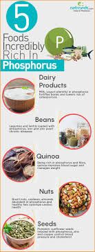 Phosphorus is found in high amounts in protein foods such as milk and milk products and meat and alternatives, such as beans, lentils and nuts. 5 Foods Plentiful In Phosphorus For Total Well Being Infographic
