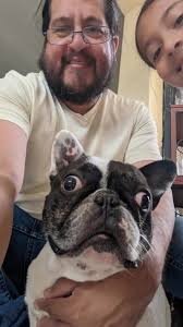 the ugliest thing I saw this weekend #dogsoftiktok #frenchbulldog #ugglydog  #crosseyedog
