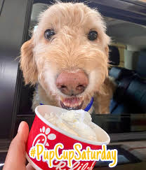 Who let the dogs out!!!!! It's #pupcupsaturday 🐾 #chickfilaviennaonmaple 🐮