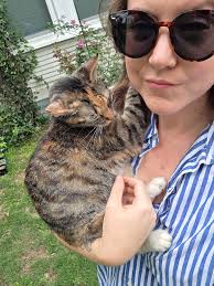 I have a few male cats that need a good home all three house trained very  active all brothers..I have no room for more cats I have 10 and am trying to