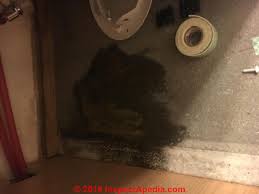 High humidity in kitchen due to cooking and. Q A On Stains Growths Not Mold