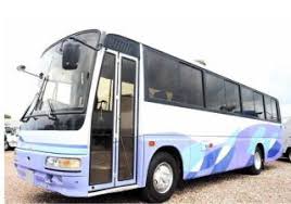 Image result for Maerua bussei