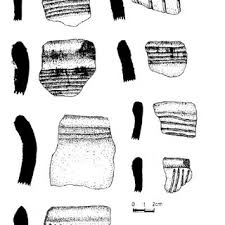 Image result for Aneilema brunneospermum