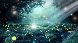 Your fairy tale garden background stock images are ready. Fairy Garden Asmr Ambience Youtube