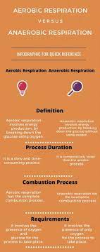 Difference Between Aerobic And Anaerobic Respiration With Table Anaerobic Respiration Aerobics Chemical Equation