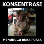 Maybe you would like to learn more about one of these? 13 Group Sepi Ideas Cartoon Jokes Memes Quotes Lucu