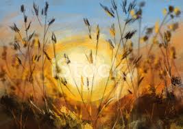 Hand Zeichnen Sonnenuntergang Stock Vektorgrafik Freeimages Com