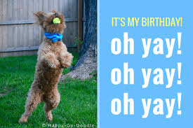 5% coupon applied at checkout. 40 Fun Birthday Quotes From A Ridiculously Happy Birthday Dog
