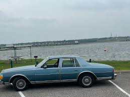 Image result for Cosmos Blue 1979 Capri