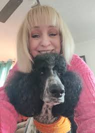 Introduction of a poodle owner and their pet Ollie in Baltimore County,  Maryland