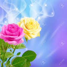 Spray, mix & match, garden, rainbow, super premium, long stem Pink And Yellow Roses And Smoke Stock Photo Picture And Royalty Free Image Image 18275442