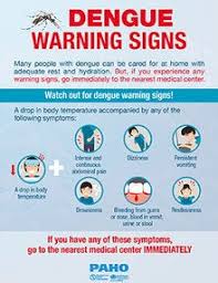 Image result for Dengue