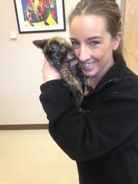 Animal Hospital of Rochester